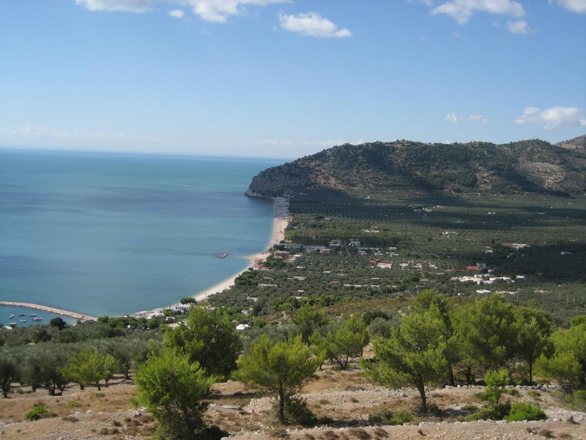 Mattinata Camping Esterno foto