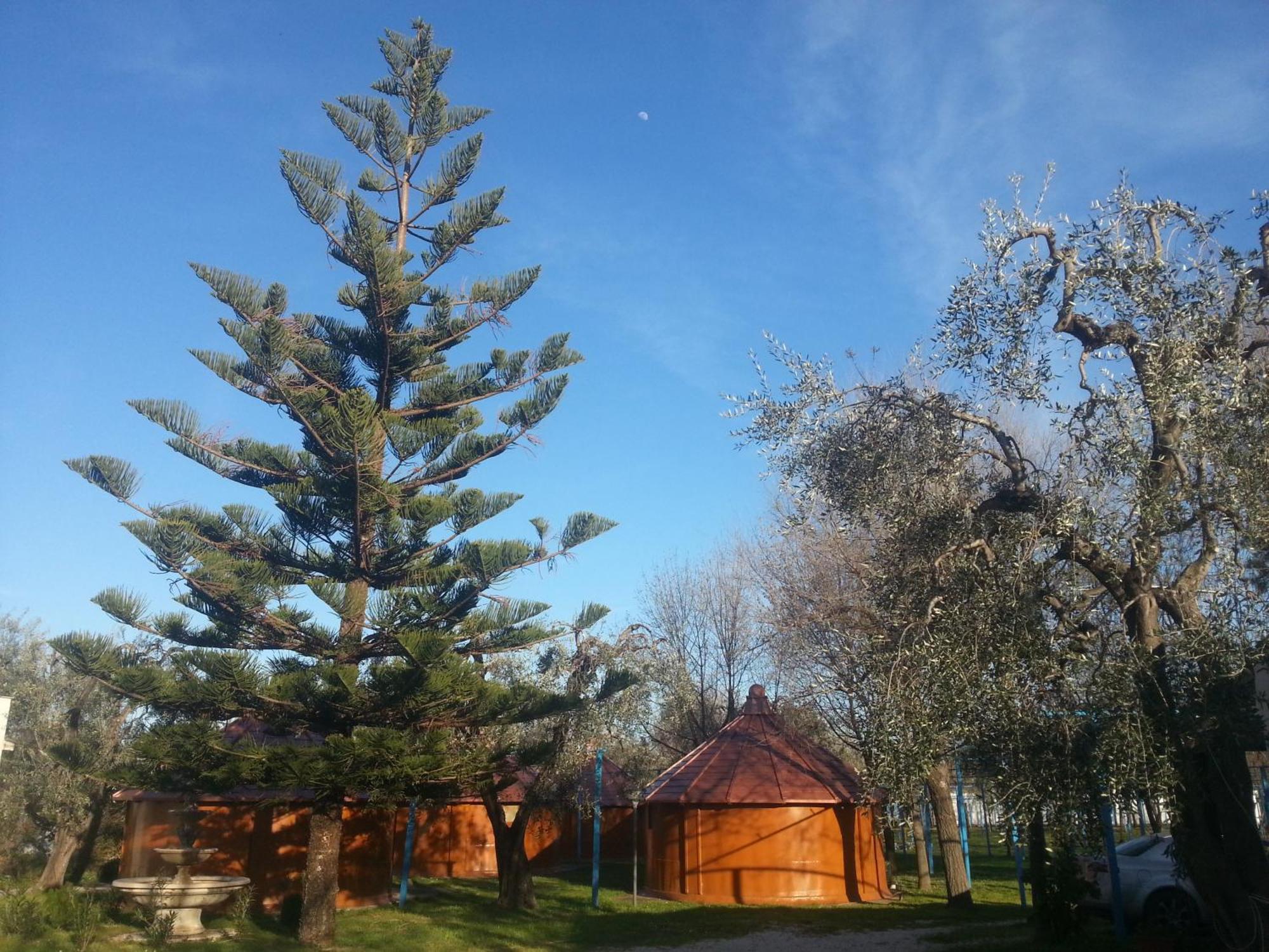 Mattinata Camping Esterno foto