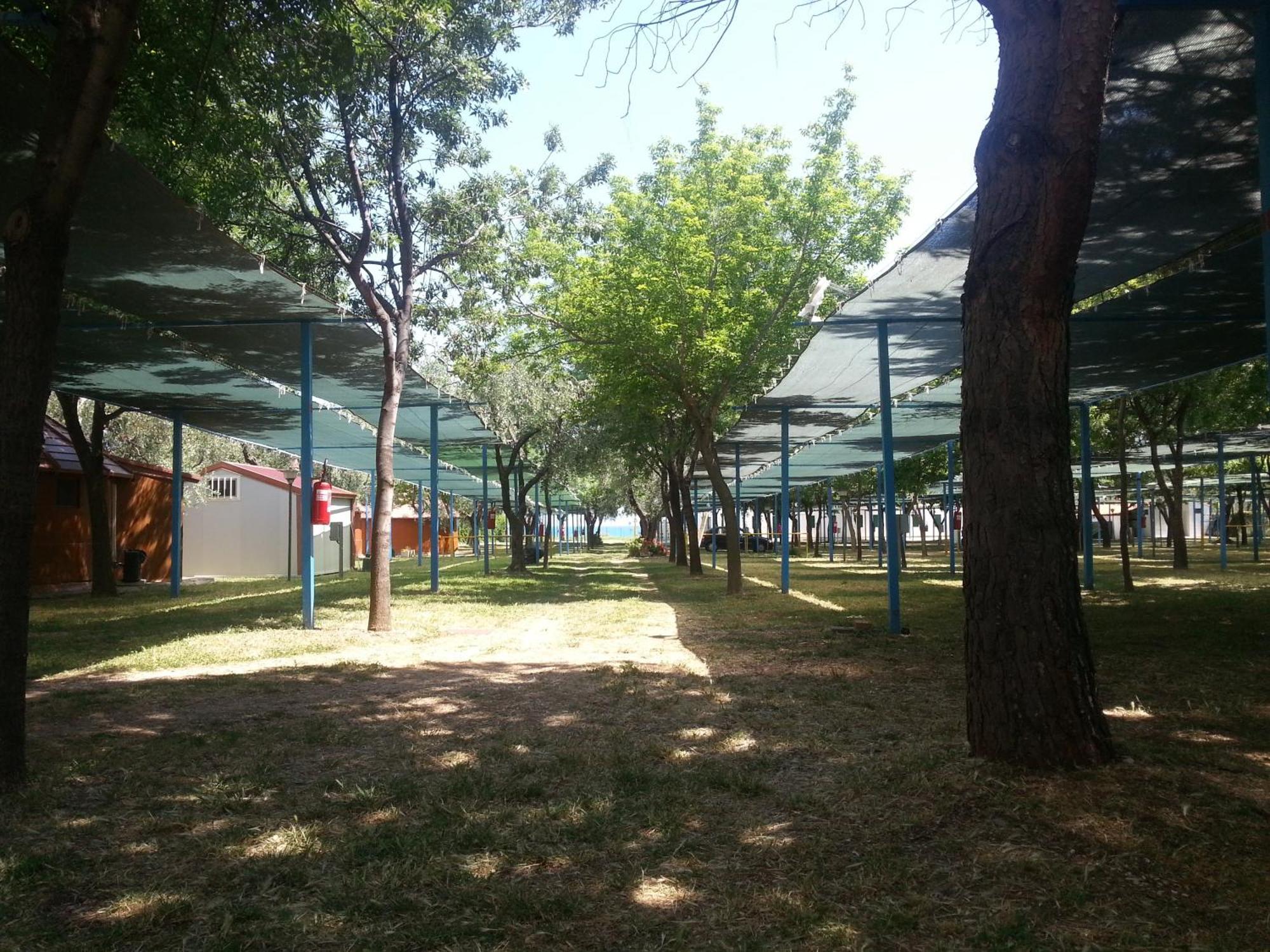 Mattinata Camping Esterno foto